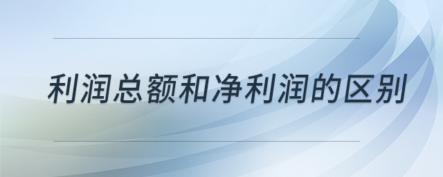 利潤(rùn)總額和凈利潤(rùn)的區(qū)別