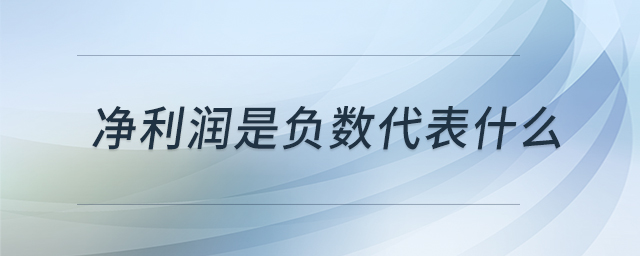 凈利潤是負數(shù)代表什么