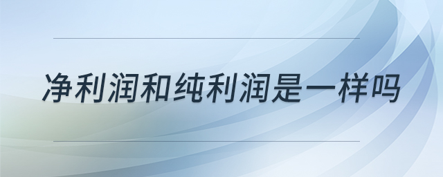 凈利潤和純利潤是一樣嗎 凈利潤和純利潤是一樣嗎