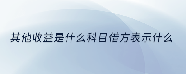 其他收益是什么科目借方表示什么 其他收益是什么科目借方表示什么