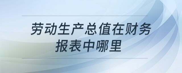 勞動生產(chǎn)總值在財(cái)務(wù)報表中哪里 勞動生產(chǎn)總值在財(cái)務(wù)報表中哪里
