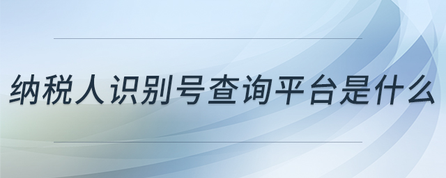 納稅人識(shí)別號(hào)查詢平臺(tái)是什么 納稅人識(shí)別號(hào)查詢平臺(tái)是什么