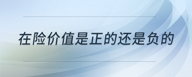 在險(xiǎn)價(jià)值是正的還是負(fù)的 在險(xiǎn)價(jià)值是正的還是負(fù)的