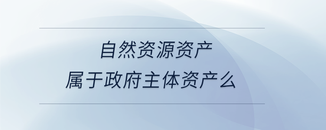 自然資源資產(chǎn)屬于政府主體資產(chǎn)么 自然資源資產(chǎn)屬于政府主體資產(chǎn)么