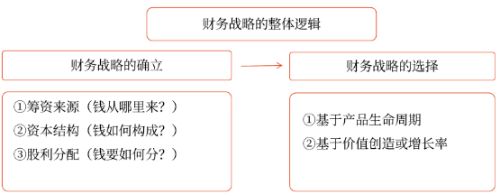 財(cái)務(wù)戰(zhàn)略