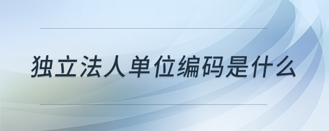 獨立法人單位編碼是什么 獨立法人單位編碼是什么