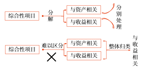 綜合性項目政府補助 綜合性項目政府補助