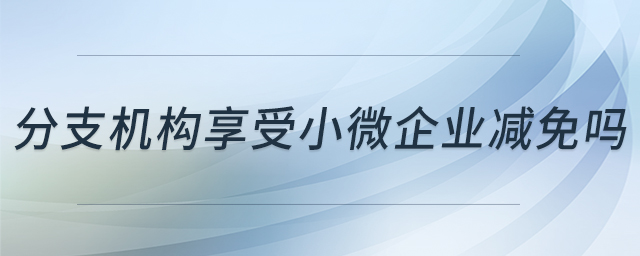 分支機構(gòu)享受小微企業(yè)減免嗎 分支機構(gòu)享受小微企業(yè)減免嗎