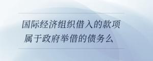 國際經濟組織借入的款項屬于政府舉借的債務么
