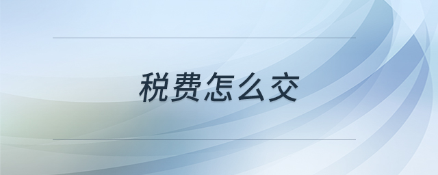 稅費怎么交 稅費怎么交