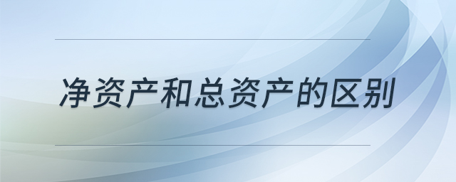凈資產(chǎn)和總資產(chǎn)的區(qū)別