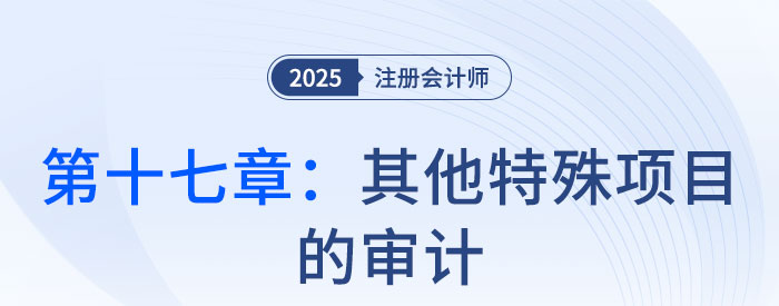 第十七章其他特殊項目的審計_2025年注會審計習(xí)題隨章演練