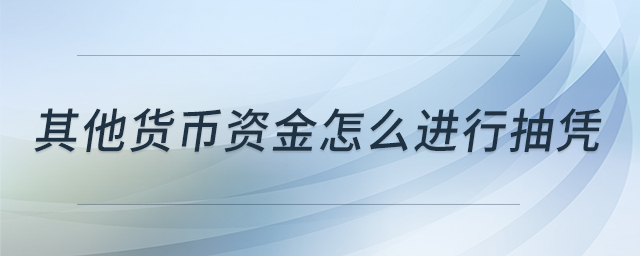 其他貨幣資金怎么進行抽憑