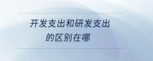 開發(fā)支出和研發(fā)支出的區(qū)別在哪