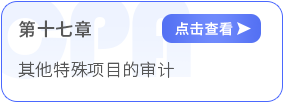 第十七章其他特殊項目的審計 第十七章其他特殊項目的審計