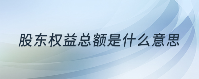 股東權(quán)益總額是什么意思 股東權(quán)益總額是什么意思