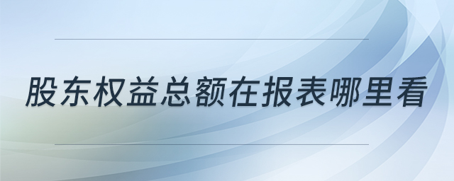 股東權(quán)益總額在報(bào)表哪里看