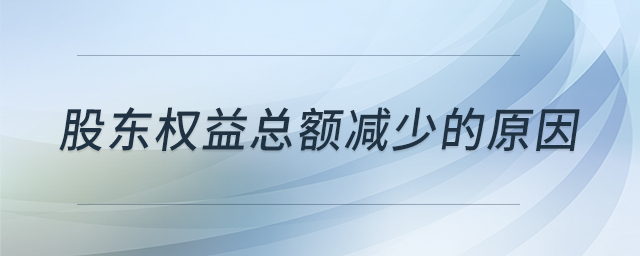 股東權(quán)益總額減少的原因