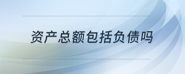 資產(chǎn)總額包括負(fù)債嗎 資產(chǎn)總額包括負(fù)債嗎