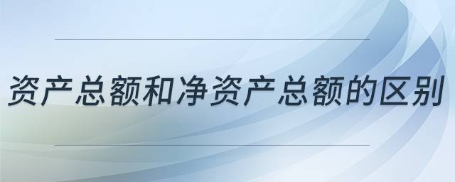 資產(chǎn)總額和凈資產(chǎn)總額的區(qū)別