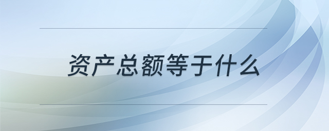 資產(chǎn)總額等于什么