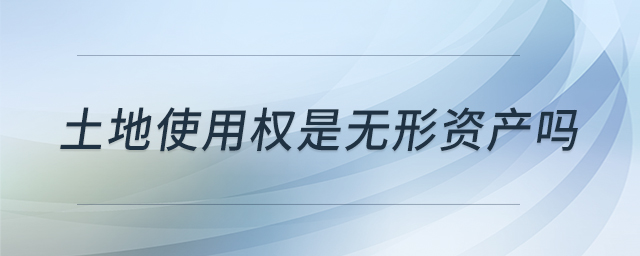 土地使用權(quán)是無(wú)形資產(chǎn)嗎