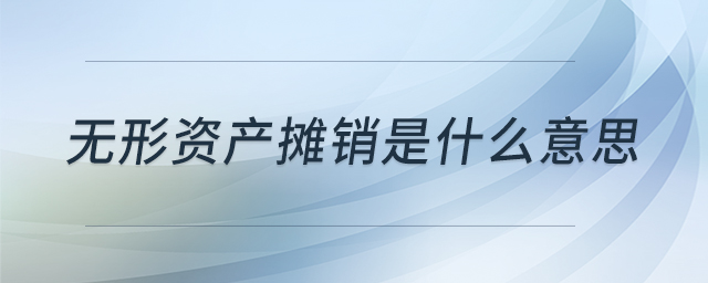 無形資產(chǎn)攤銷是什么意思