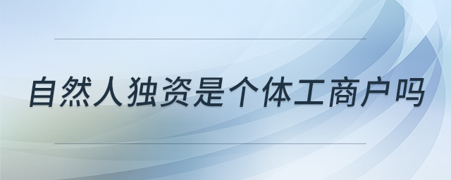 自然人獨(dú)資是個(gè)體工商戶嗎