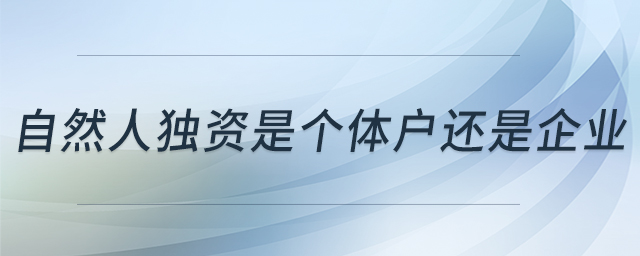 自然人獨(dú)資是個(gè)體戶還是企業(yè)