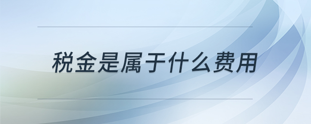 稅金是屬于什么費(fèi)用 稅金是屬于什么費(fèi)用