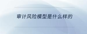 審計風(fēng)險模型是什么樣的