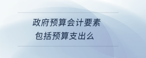 政府預(yù)算會計要素包括預(yù)算支出么