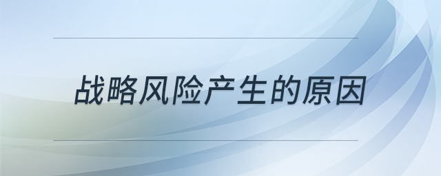 戰(zhàn)略風(fēng)險(xiǎn)產(chǎn)生的原因