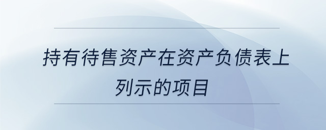 持有待售資產(chǎn)在資產(chǎn)負債表上列示的項目