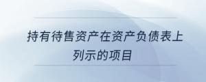 持有待售資產在資產負債表上列示的項目