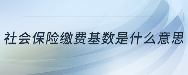 社會保險繳費基數(shù)是什么意思