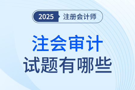 cpa審計考試題型都有哪些