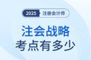 注冊(cè)會(huì)計(jì)師戰(zhàn)略考點(diǎn)有多少？
