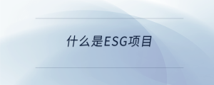 什么是esg項(xiàng)目