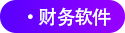 財務(wù)軟件 財務(wù)軟件