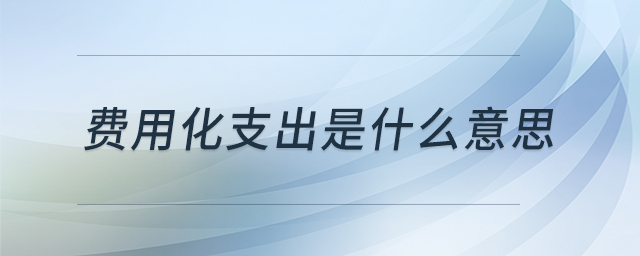 費(fèi)用化支出是什么意思