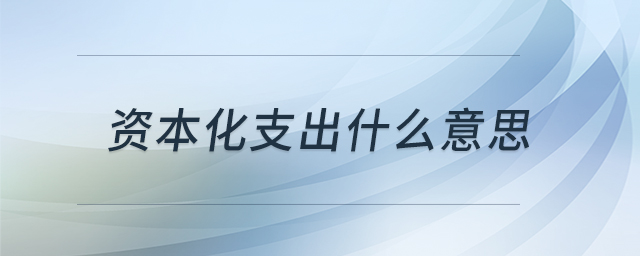資本化支出什么意思