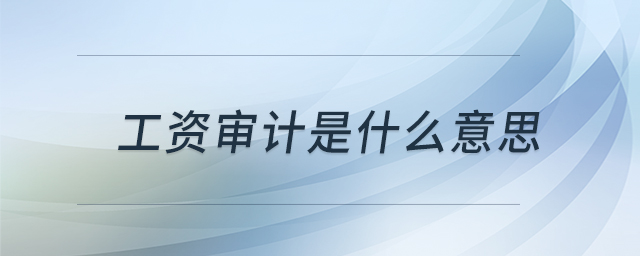 工資審計是什么意思 工資審計是什么意思
