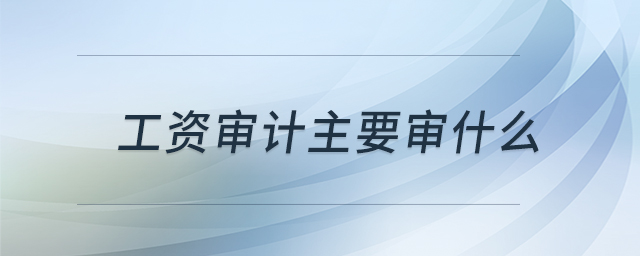 工資審計(jì)主要審什么 工資審計(jì)主要審什么