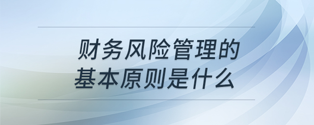 財務(wù)風險管理的基本原則是什么