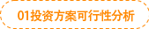 01投資方案可行性分析
