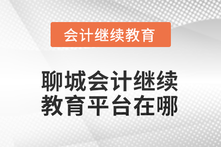 2025年度聊城會計人員繼續(xù)教育平臺在哪？