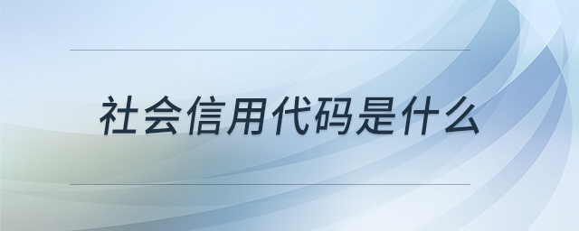 社會信用代碼是什么 社會信用代碼是什么