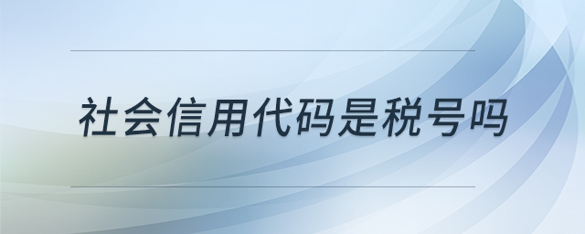 社會(huì)信用代碼是稅號(hào)嗎