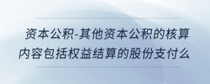 資本公積-其他資本公積的核算內(nèi)容包括權(quán)益結(jié)算的股份支付么